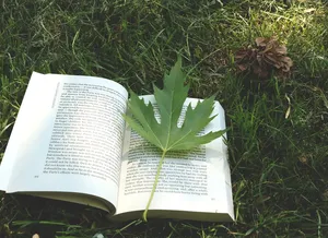 book